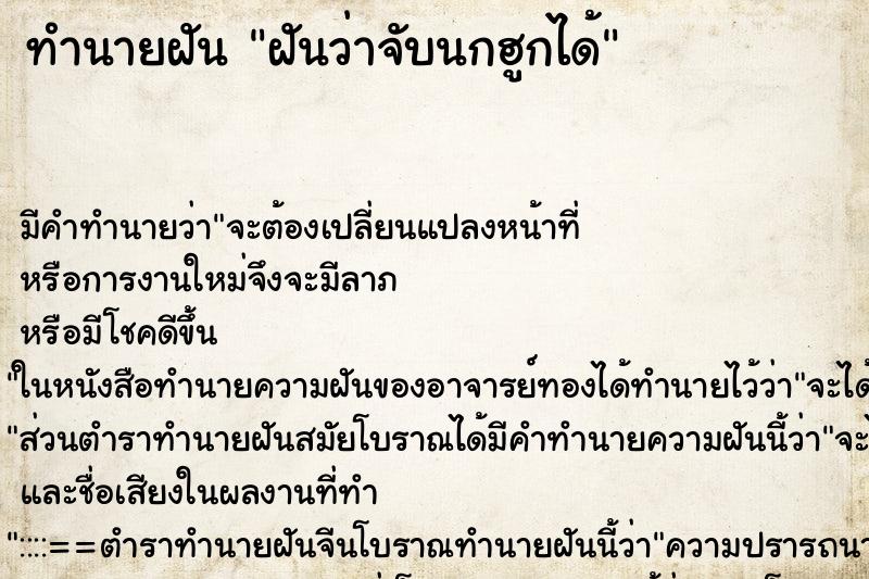 ทำนายฝัน ฝันว่าจับนกฮูกได้ ทำนายฝัน ฝันว่าจับนกฮูกได้