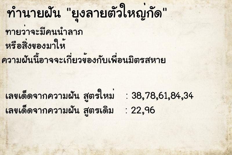 ทำนายฝัน ยุงลายตัวใหญ่กัด ทำนายฝัน ยุงลายตัวใหญ่กัด