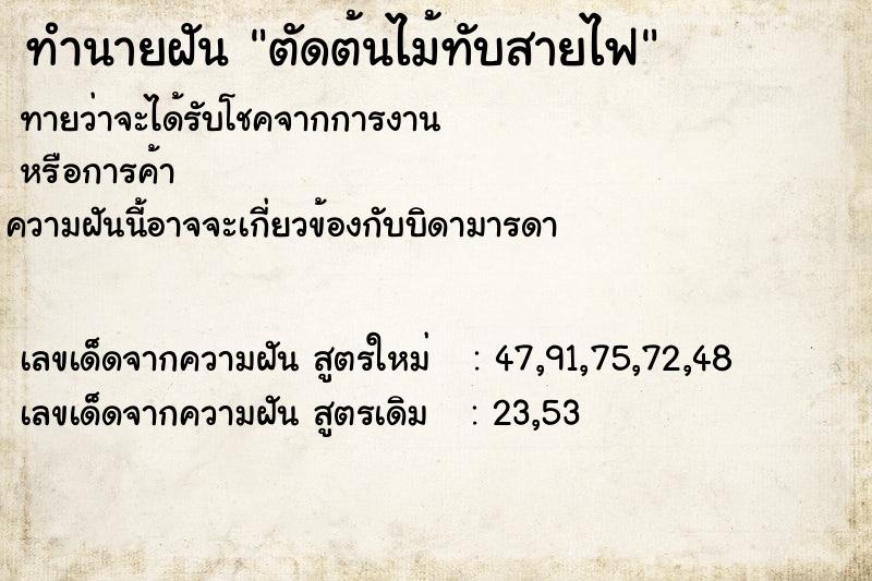 ทำนายฝันตัดต้นไม้ทับสายไฟ ทำนายฝันทำนายฝันตัดต้นไม้ทับสายไฟ