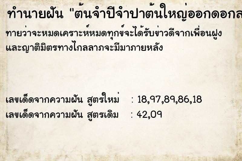 ทำนายฝันต้นจําปีจําปาต้นใหญ่ออกดอกสวยงามได้เก็บมาดม ทำนายฝันทำนายฝันต้นจําปีจําปาต้นใหญ่ออกดอกสวยงามได้เก็บมาดม