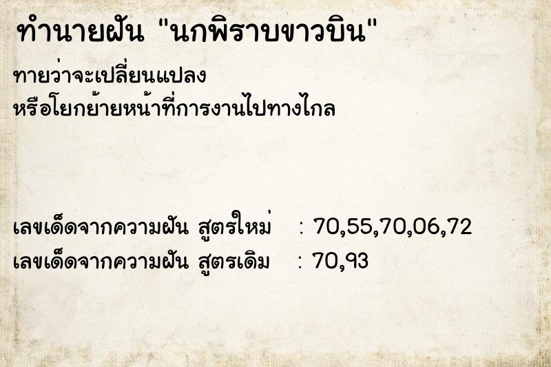 ทำนายฝัน นกพิราบขาวบิน ทำนายฝัน นกพิราบขาวบิน