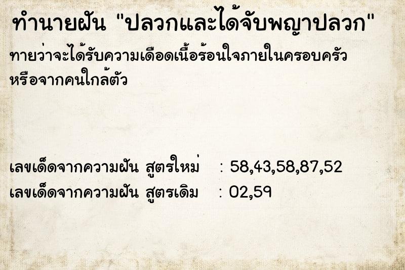 ทำนายฝันทำนายฝันปลวกและได้จับพญาปลวก