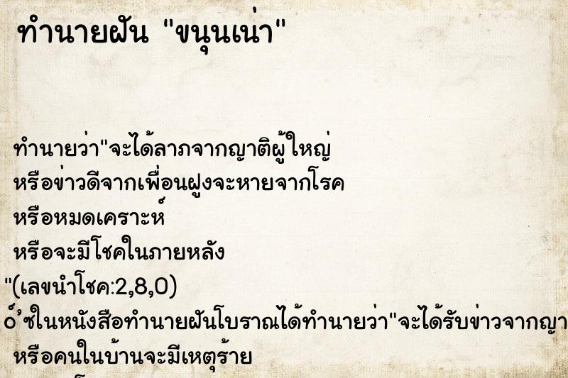 ทำนายฝันทำนายฝันขนุนเน่า