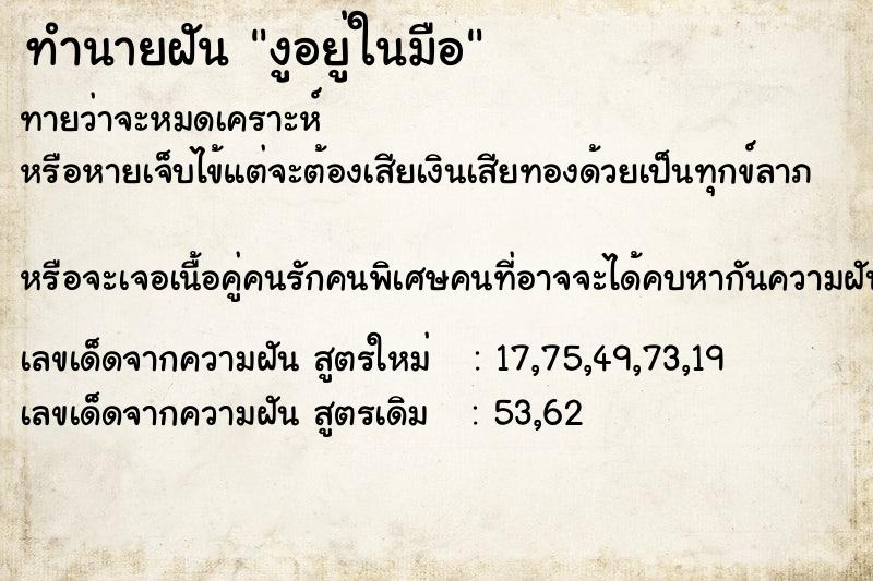 ทำนายฝัน งูอยู่ในมือ ทำนายฝัน งูอยู่ในมือ