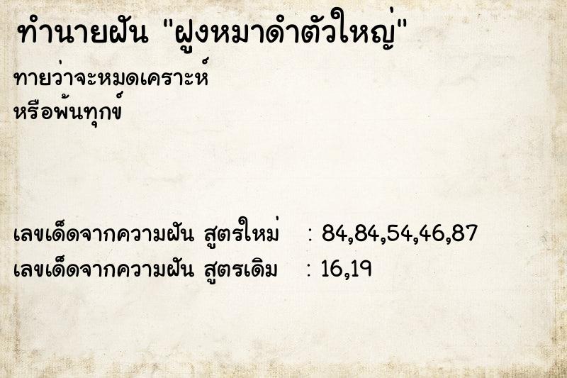 ทำนายฝันฝูงหมาดำตัวใหญ่ ทำนายฝันทำนายฝันฝูงหมาดำตัวใหญ่