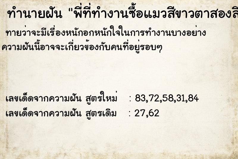 ทำนายฝันพี่ที่ทำงานซื้อแมวสีขาวตาสองสี ทำนายฝันทำนายฝันพี่ที่ทำงานซื้อแมวสีขาวตาสองสี