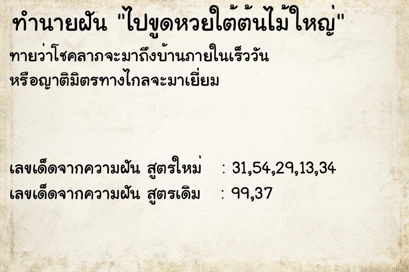 ทำนายฝันไปขูดหวยใต้ต้นไม้ใหญ่ ทำนายฝันทำนายฝันไปขูดหวยใต้ต้นไม้ใหญ่