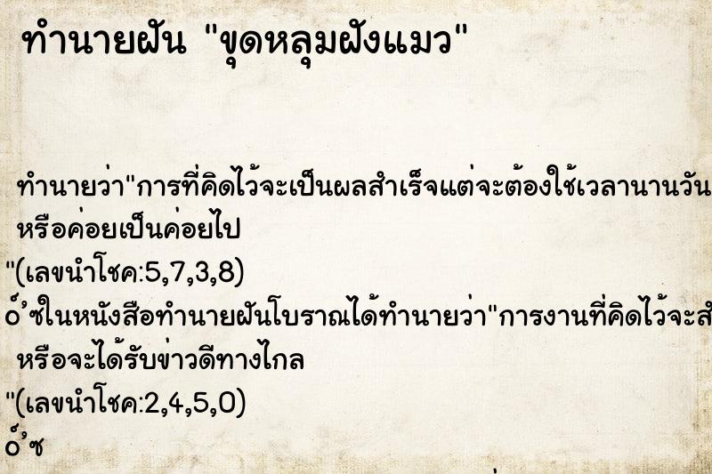 ทำนายฝัน ขุดหลุมฝังแมว