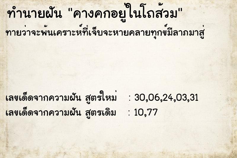ทำนายฝันคางคกอยู่ในโถส้วม ทำนายฝันทำนายฝันคางคกอยู่ในโถส้วม