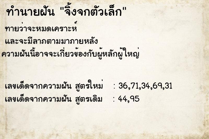 ทำนายฝันจิ้งจกตัวเล็ก ทำนายฝันทำนายฝันจิ้งจกตัวเล็ก