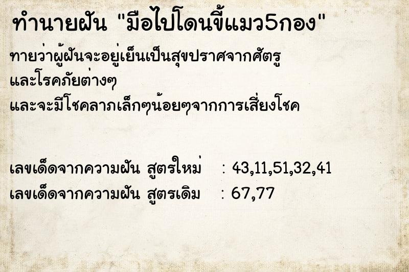ทำนายฝันทำนายฝันมือไปโดนขี้แมว5กอง