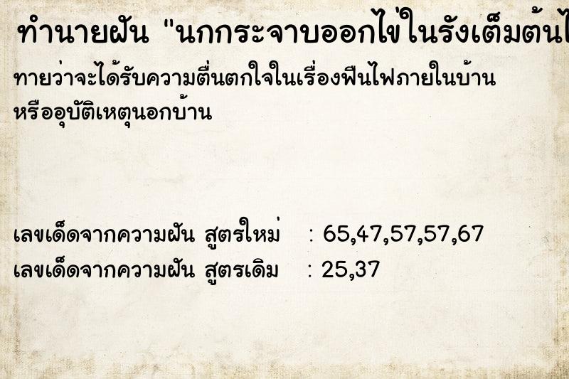 ทำนายฝันนกกระจาบออกไข่ในรังเต็มต้นไม้ ทำนายฝันทำนายฝันนกกระจาบออกไข่ในรังเต็มต้นไม้