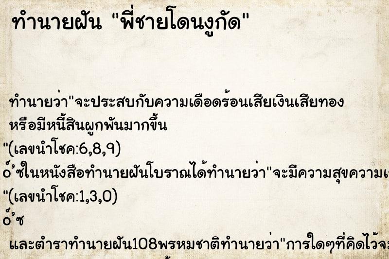ทำนายฝัน พี่ชายโดนงูกัด ทำนายฝัน พี่ชายโดนงูกัด