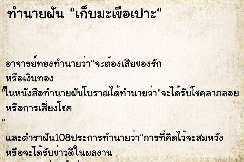 ทำนายฝัน เก็บมะเขือเปาะ ทำนายฝัน เก็บมะเขือเปาะ