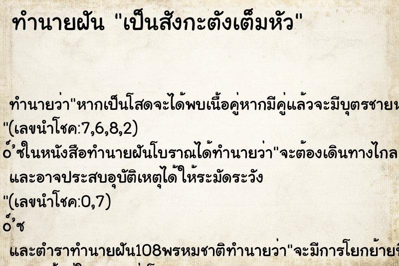 ทำนายฝัน เป็นสังกะตังเต็มหัว ทำนายฝัน เป็นสังกะตังเต็มหัว