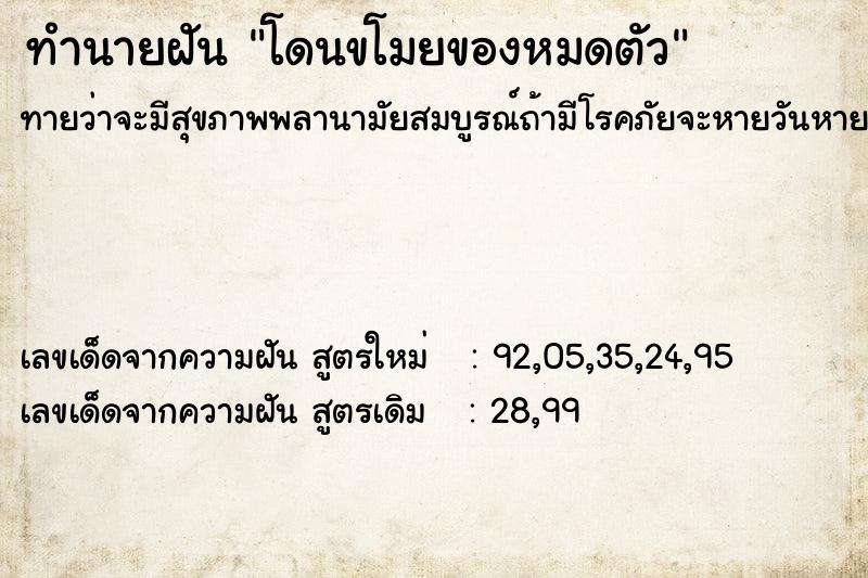 ทำนายฝันทำนายฝันโดนขโมยของหมดตัว