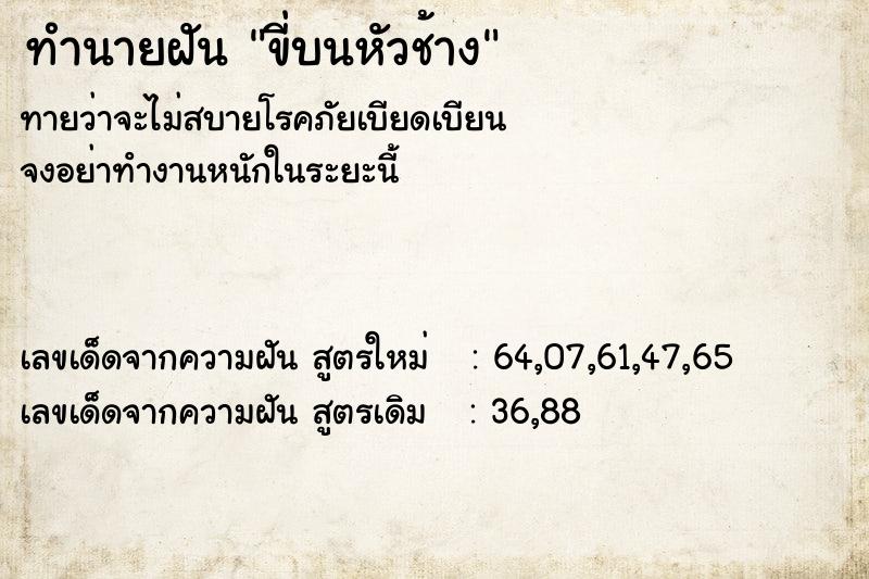 ทำนายฝันขี่บนหัวช้าง ทำนายฝันทำนายฝันขี่บนหัวช้าง