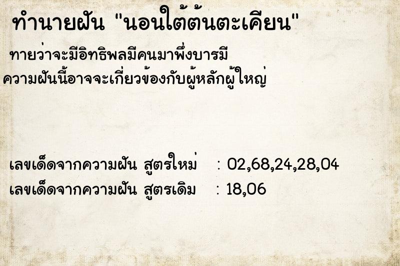 ทำนายฝันนอนใต้ต้นตะเคียน ทำนายฝันทำนายฝันนอนใต้ต้นตะเคียน