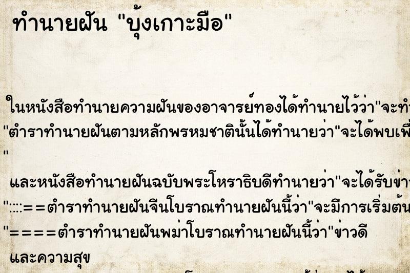 ทำนายฝันบุ้งเกาะมือ ทำนายฝันทำนายฝันบุ้งเกาะมือ