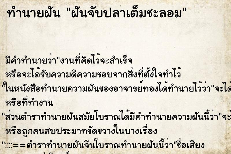 ทำนายฝันฝันจับปลาเต็มชะลอม ทำนายฝันทำนายฝันฝันจับปลาเต็มชะลอม