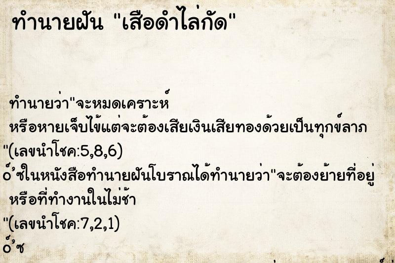 ทำนายฝันเสือดำไล่กัด ทำนายฝันทำนายฝันเสือดำไล่กัด