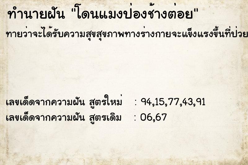 ทำนายฝันโดนแมงป่องช้างต่อย ทำนายฝันทำนายฝันโดนแมงป่องช้างต่อย
