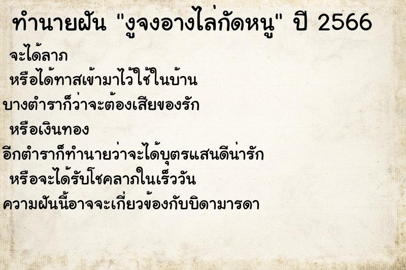 ทำนายฝันทำนายฝันงูจงอางไล่กัดหนู