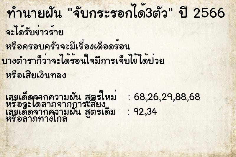 ทำนายฝันทำนายฝันจับกระรอกได้3ตัว