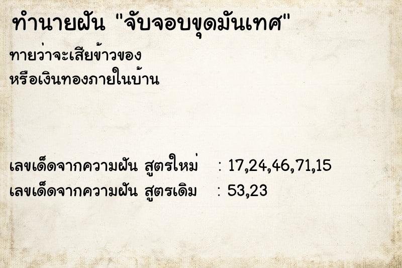 ทำนายฝันจับจอบขุดมันเทศ ทำนายฝันทำนายฝันจับจอบขุดมันเทศ