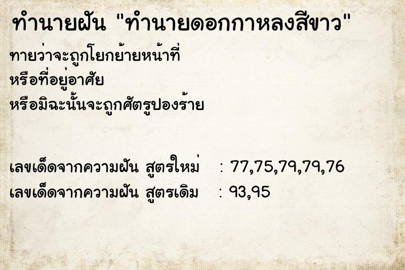 ทำนายฝันทำนายฝันทำนายดอกกาหลงสีขาว