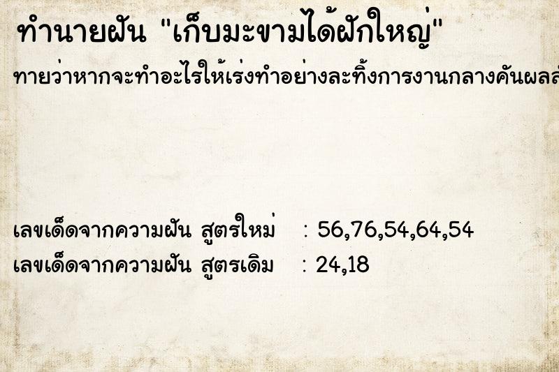 ทำนายฝันเก็บมะขามได้ฝักใหญ่ ทำนายฝันทำนายฝันเก็บมะขามได้ฝักใหญ่