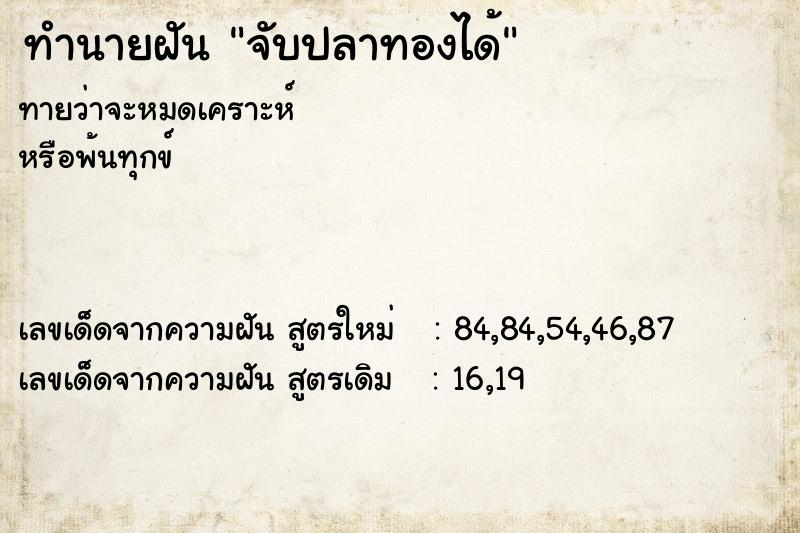 ทำนายฝันจับปลาทองได้ ทำนายฝันทำนายฝันจับปลาทองได้
