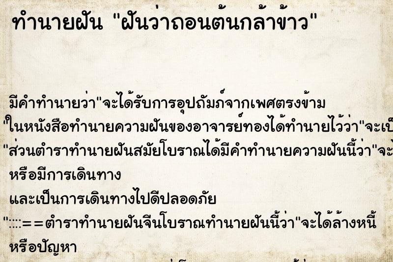 ทำนายฝัน ฝันว่าถอนต้นกล้าข้าว ทำนายฝัน ฝันว่าถอนต้นกล้าข้าว