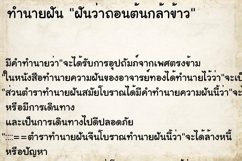 ทำนายฝัน ฝันว่าถอนต้นกล้าข้าว ตำราโบราณ แม่นที่สุดในโลก