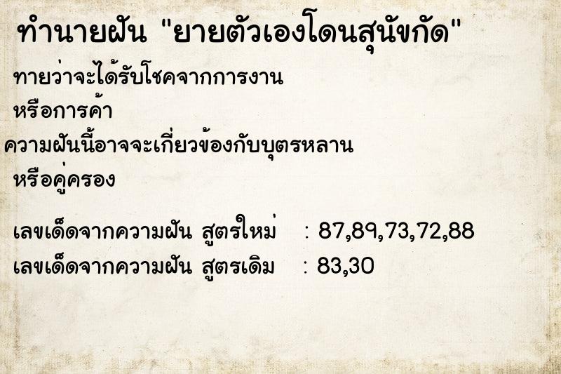 ทำนายฝันยายตัวเองโดนสุนัขกัด ทำนายฝันทำนายฝันยายตัวเองโดนสุนัขกัด
