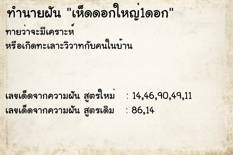 ทำนายฝันทำนายฝันเห็ดดอกใหญ่1ดอก