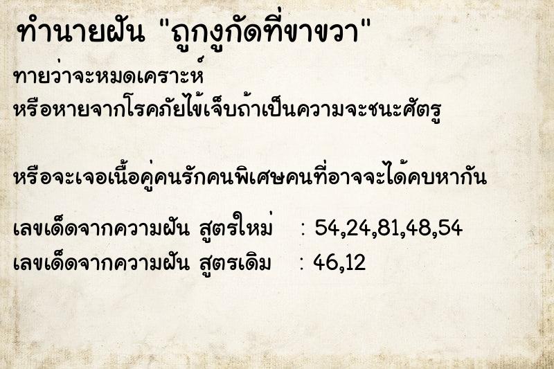 ทำนายฝัน ถูกงูกัดที่ขาขวา ทำนายฝัน ถูกงูกัดที่ขาขวา