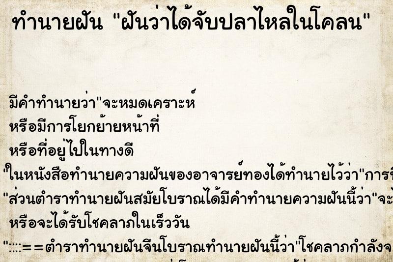 ทำนายฝันฝันว่าได้จับปลาไหลในโคลน ทำนายฝันทำนายฝันฝันว่าได้จับปลาไหลในโคลน