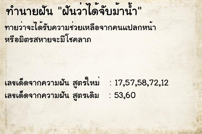 ทำนายฝันฝันว่่่าได้จับม้าน้ำ ทำนายฝันทำนายฝันฝันว่่่าได้จับม้าน้ำ