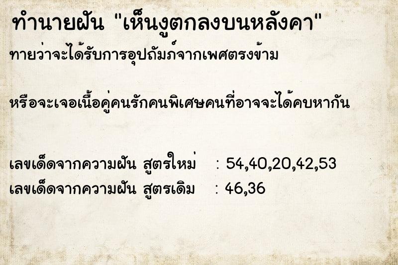 ทำนายฝัน เห็นงูตกลงบนหลังคา ตำราโบราณ แม่นที่สุดในโลก