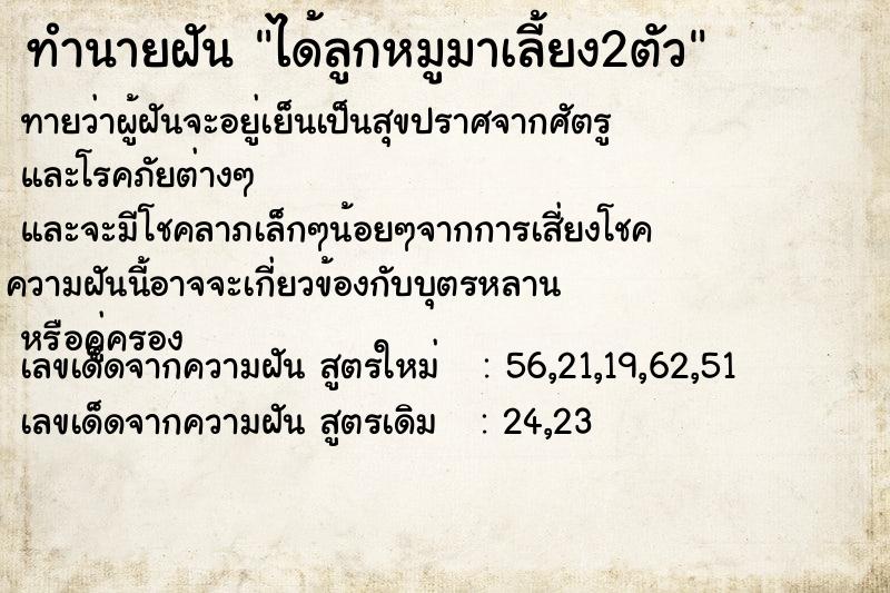 ทำนายฝันได้ลูกหมูมาเลี้ยง2ตัว ทำนายฝันทำนายฝันได้ลูกหมูมาเลี้ยง2ตัว