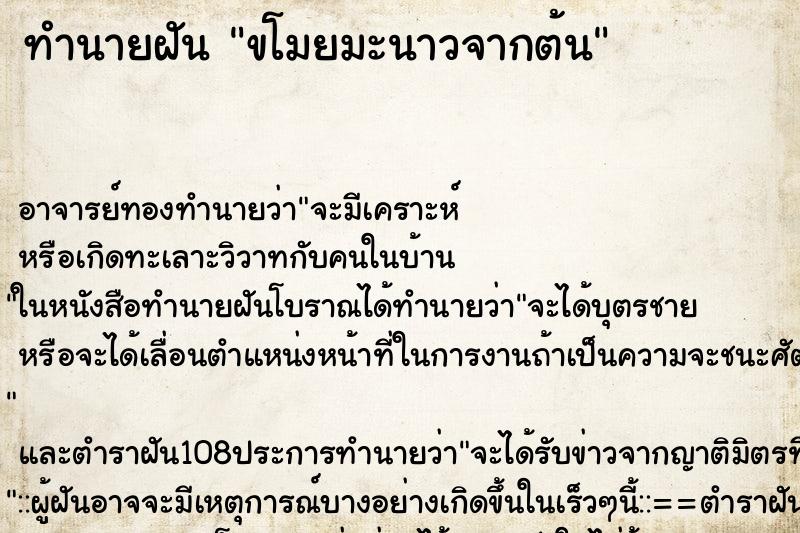 ทำนายฝัน ขโมยมะนาวจากต้น ทำนายฝัน ขโมยมะนาวจากต้น