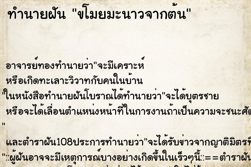 ทำนายฝัน ขโมยมะนาวจากต้น ตำราโบราณ แม่นที่สุดในโลก