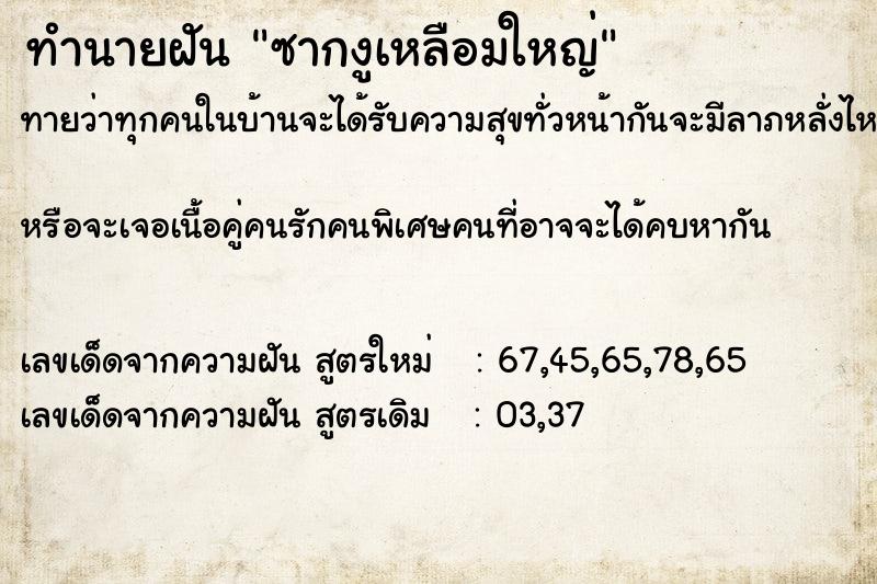 ทำนายฝันซากงูเหลือมใหญ่ ทำนายฝันทำนายฝันซากงูเหลือมใหญ่