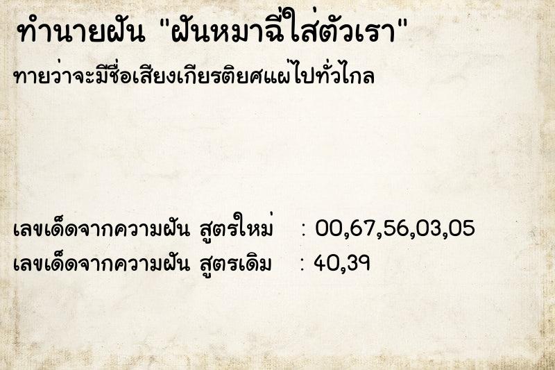 ทำนายฝันฝันหมาฉี่ใส่ตัวเรา ทำนายฝันทำนายฝันฝันหมาฉี่ใส่ตัวเรา