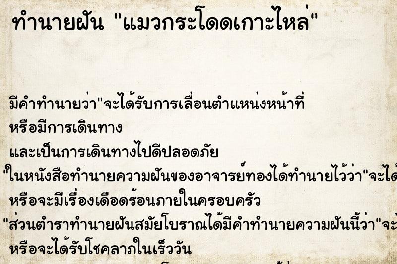 ทำนายฝัน แมวกระโดดเกาะไหล่ ทำนายฝัน แมวกระโดดเกาะไหล่