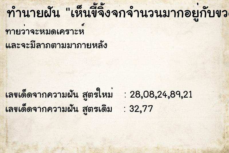 ทำนายฝันเห็นขี้จิ้งจกจำนวนมากอยู่กับขวดน้ำดื่มในตู้เย็น ทำนายฝันทำนายฝันเห็นขี้จิ้งจกจำนวนมากอยู่กับขวดน้ำดื่มในตู้เย็น