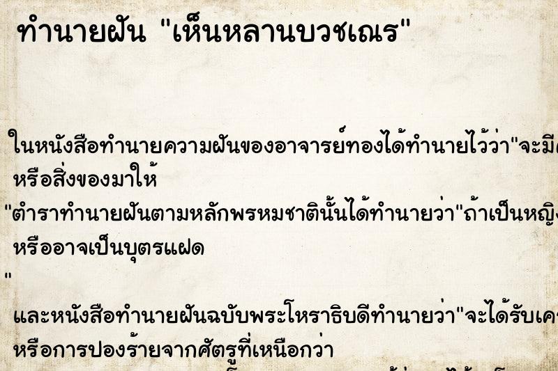 ทำนายฝันเห็นหลานบวชเณร ทำนายฝันทำนายฝันเห็นหลานบวชเณร