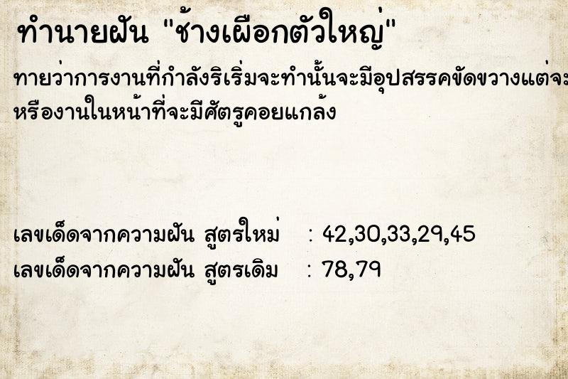 ทำนายฝัน ​ช้างเผือกตัว​ใหญ่​ ตำราโบราณ แม่นที่สุดในโลก