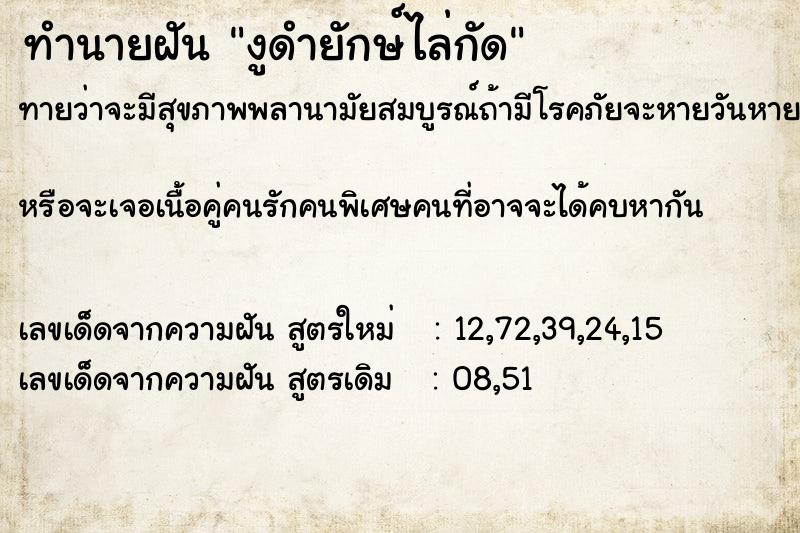ทำนายฝัน งูดำยักษ์ไล่กัด ทำนายฝัน งูดำยักษ์ไล่กัด